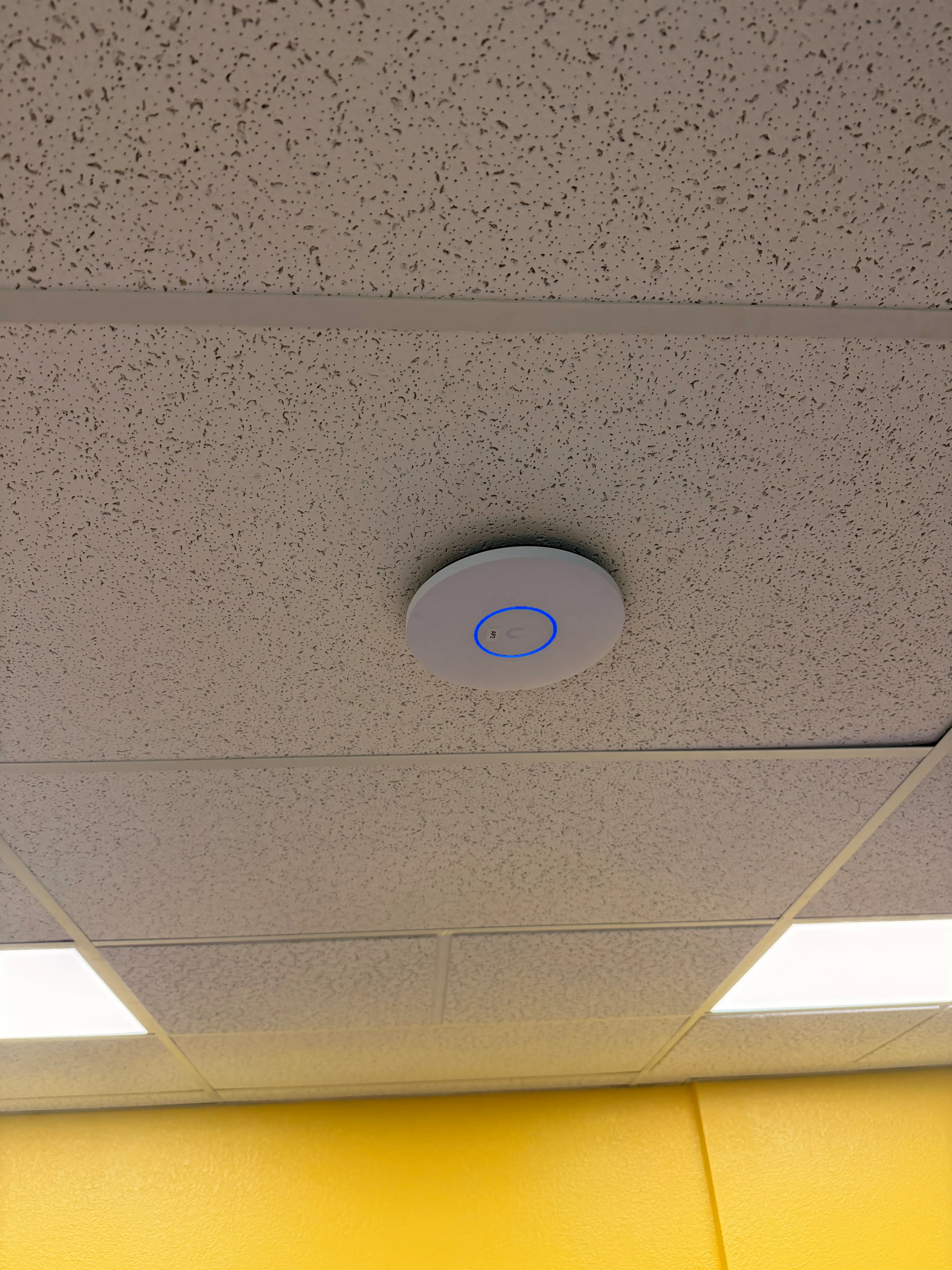 Wireless access point mounted on acoustic drop ceiling with blue indicator light